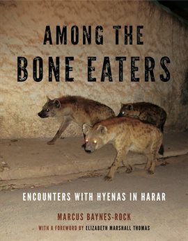 Cover image for Among the Bone Eaters