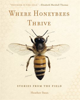 Cover image for Where Honeybees Thrive
