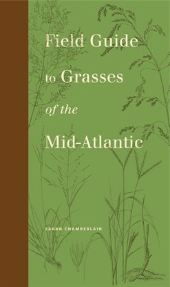 Cover image for Field Guide to Grasses of the Mid-Atlantic