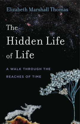 Cover image for The Hidden Life of Life