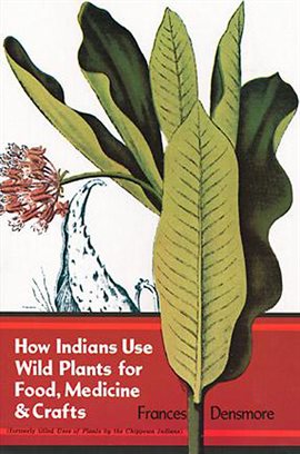 Cover image for How Indians Use Wild Plants for Food, Medicine & Crafts