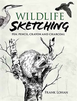 Cover image for Wildlife Sketching