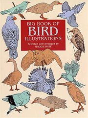 Big Book of Bird Illustrations cover image