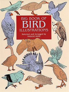 Cover image for Big Book of Bird Illustrations