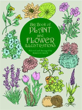 Cover image for Big Book of Plant and Flower Illustrations