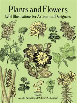 Cover image for Plants and Flowers