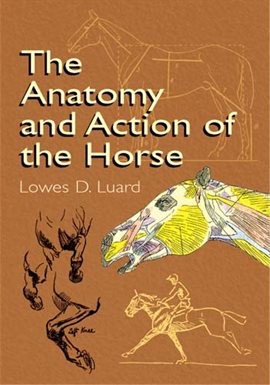 The Anatomy and Action of the Horse Ebook by Lowes D ...