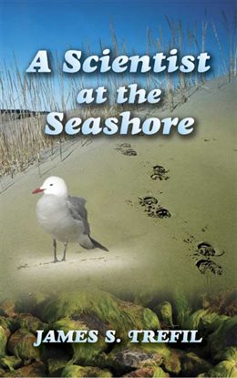 Cover image for A Scientist at the Seashore