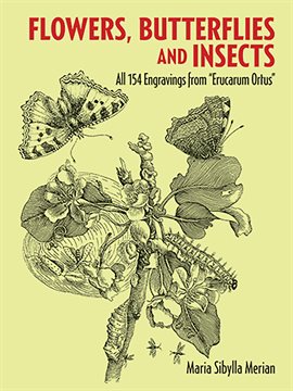 Cover image for Flowers, Butterflies and Insects