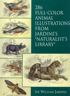 Cover image for 286 Full-Color Animal Illustrations