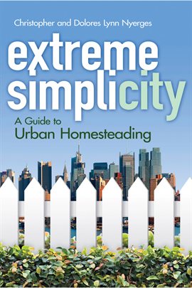Cover image for Extreme Simplicity