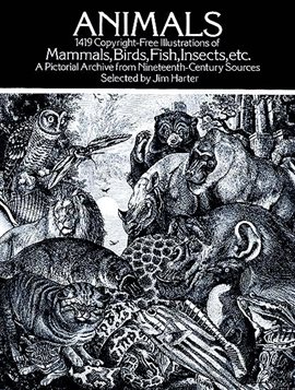 Cover image for Animals