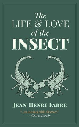 Cover image for The Life and Love of the Insect