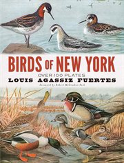 Birds of New York cover image