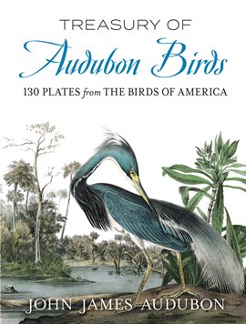 Cover image for Treasury of Audubon Birds
