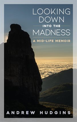 Cover image for Looking Down Into the Madness