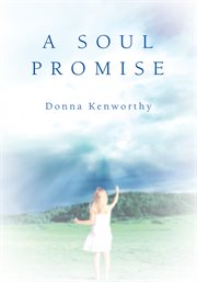 A soul promise. A Spiritual Quest cover image