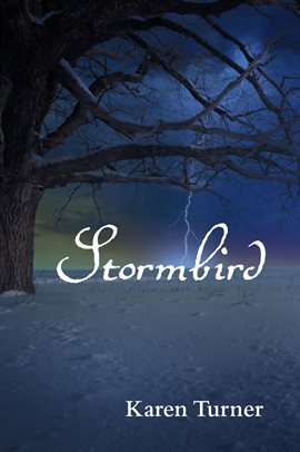 Cover image for Stormbird