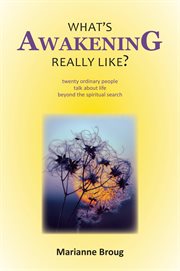 What's awakening really like? : twenty ordinary people talk about life beyond the spiritual search cover image