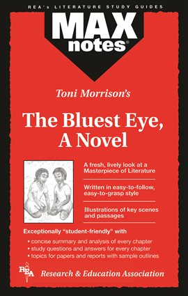 the bluest eye book