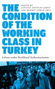 The condition of the working class in Turkey : labour under neoliberal authoritarianism cover image