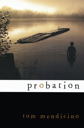 Cover image for Probation