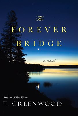 Cover image for The Forever Bridge