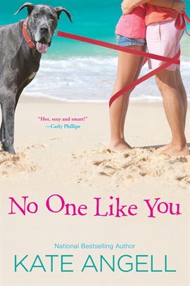 Cover image for No One Like You