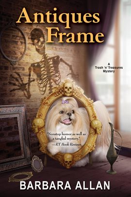 Cover image for Antiques Frame