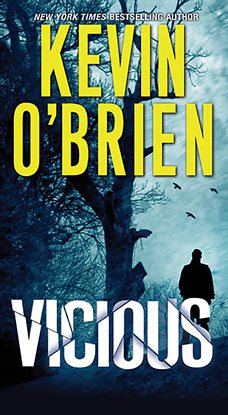 Cover image for Vicious