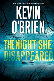 The night she disappeared cover image