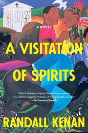 A visitation of spirits : a novel cover image