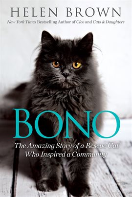 Cover image for Bono