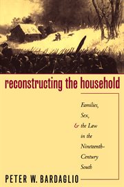 Reconstructing the household: families, sex, and the law in the nineteenth-century South cover image