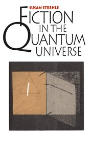 Fiction in the quantum universe cover image