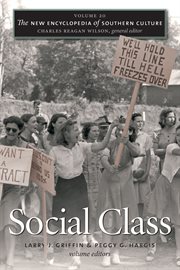 Social class cover image