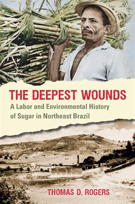 Cover image for The Deepest Wounds