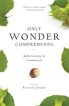 Cover image for Only Wonder Comprehends