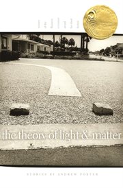 The theory of light and matter cover image
