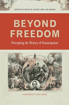 Cover image for Beyond Freedom