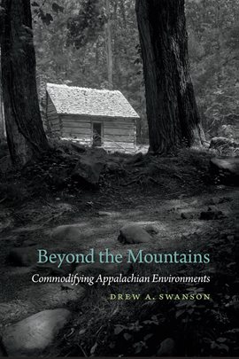 Cover image for Beyond the Mountains
