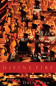 Divine fire. Poems cover image