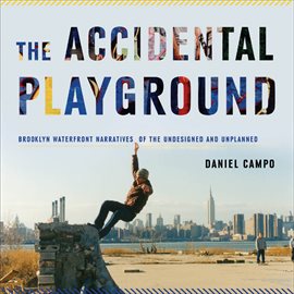 Cover image for The Accidental Playground