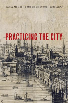 Cover image for Practicing the City