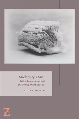 Cover image for Modernity's Mist