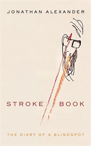 Stroke book. The Diary of a Blindspot cover image