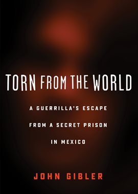 Cover image for Torn from the World