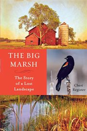 The Big Marsh: the story of a lost landscape cover image