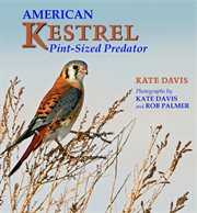 American kestrel. Pint-Sized Predator cover image