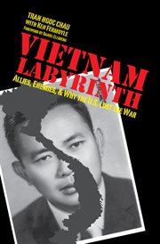 Vietnam labyrinth : allies, enemies, and why the U.S. lost the war cover image
